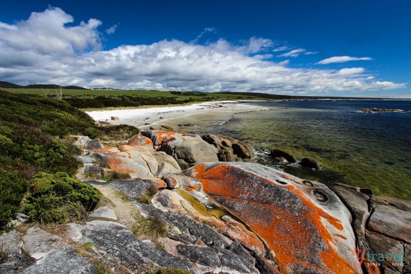 A close up of orange rock near the ocean