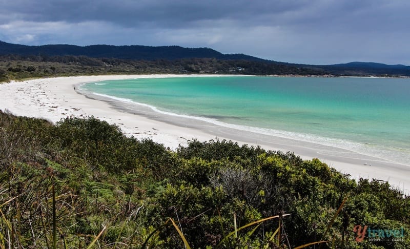 white beach with aqua waters of binnalong bay 