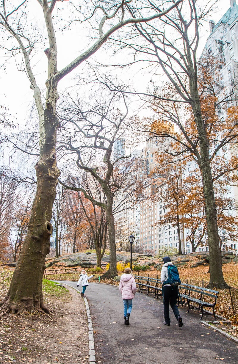 Walking in Central Park 