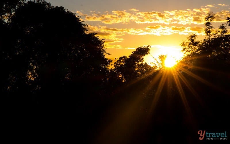 Sunrise at Binna Burra in Lamington National Park, Gold Coast Hinterland, Queensland