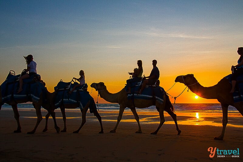 people riding camels at sunset on cable beach