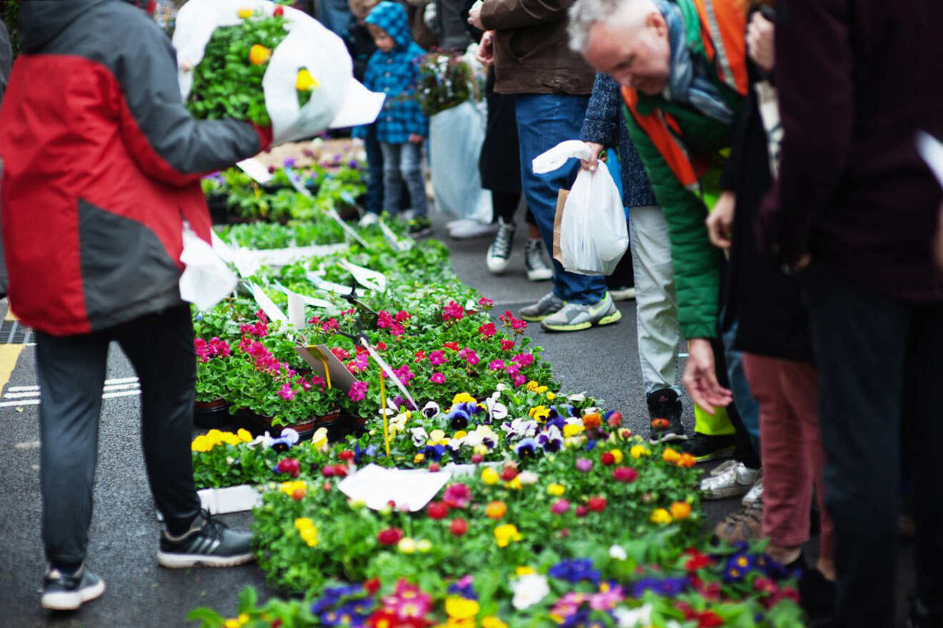 17 Columbia Road Flower Market