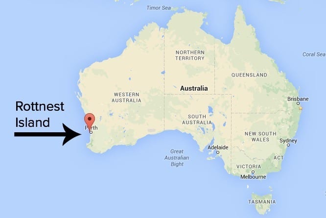 Map of rottnest island location