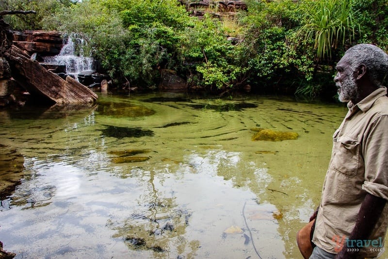 Australian aboriginal looking out over waterhole