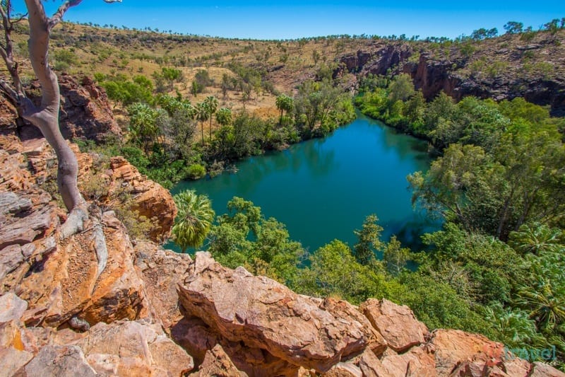 aerial view of river in Boodjamulla National Park 