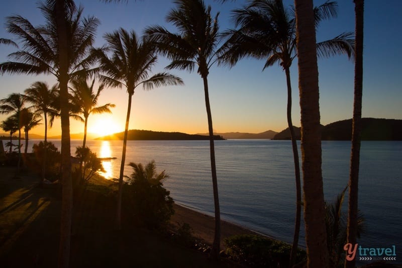 sunset on the beawch with sillouhette palm trees. 