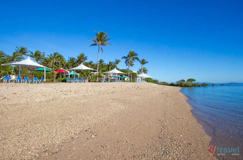 private beach on Daydream Island - Queensland, Australia