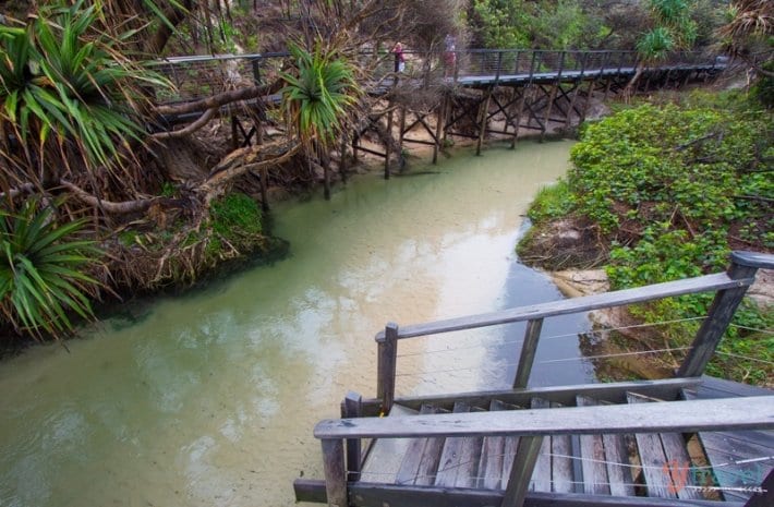 elevated walkway over a river