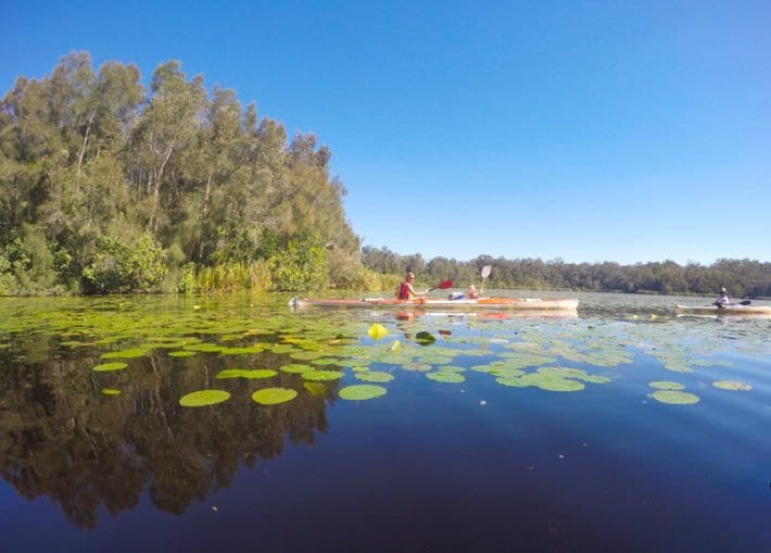 people kayaking