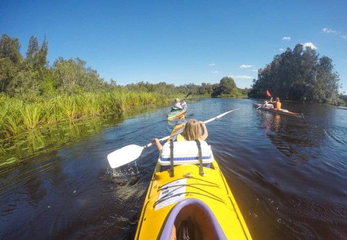 people kayaking