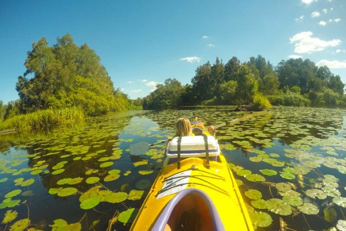 people kayaking