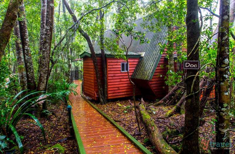 a cabin in a forest