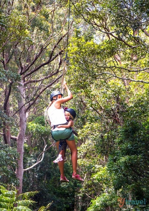 Flying fox at Binna Burra Mountains in Lamington National Park, Gold Coast Hinterland, Australia