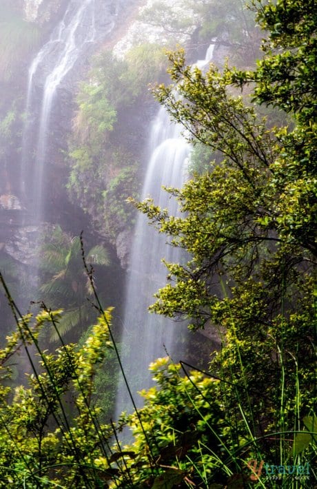 A large waterfall in a forest