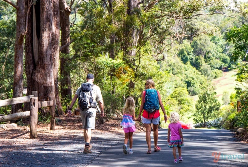 people walking through a forest