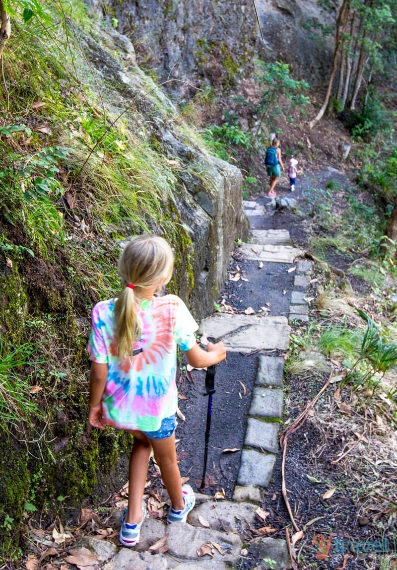 girl walking on a forest trail