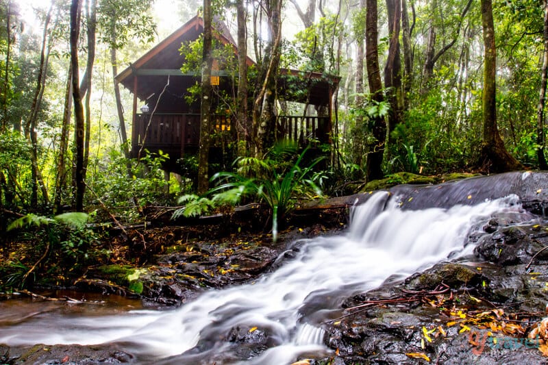 A large waterfall in a forest