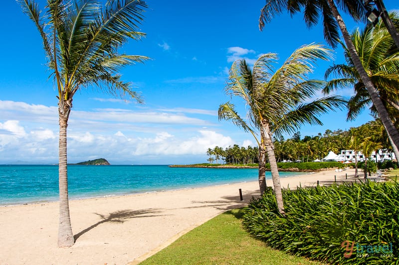 private beach with palm trees Hayman Island, Queensland, Australia