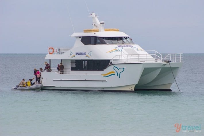 boat in the ocean