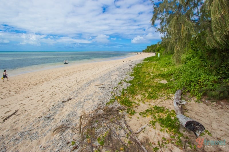 sandy beach on Green Island with no one onit 