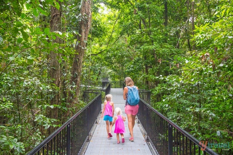 people walking on boardwalk Mossman Gorge, Queensland, Australia