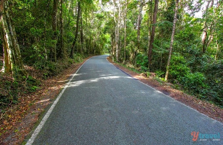 O'Reilly's Rainforest Retreat in Lamington National Park