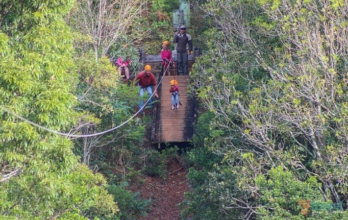 people zip lining