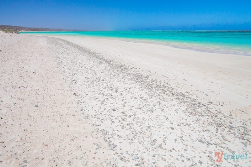 white sand and turquoise water of Turquoise Bay