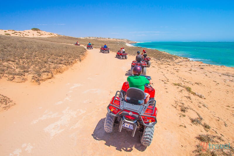 people quad biking on coastal track at Coral Bay 