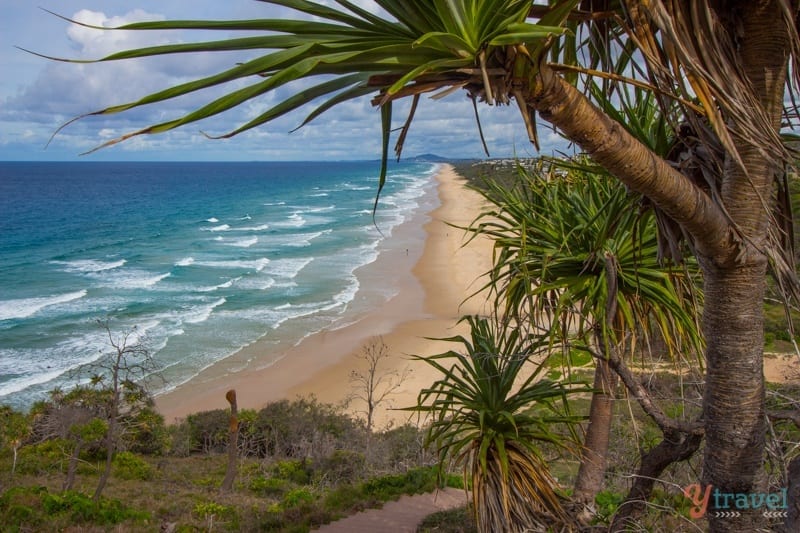 A beach with palm trees