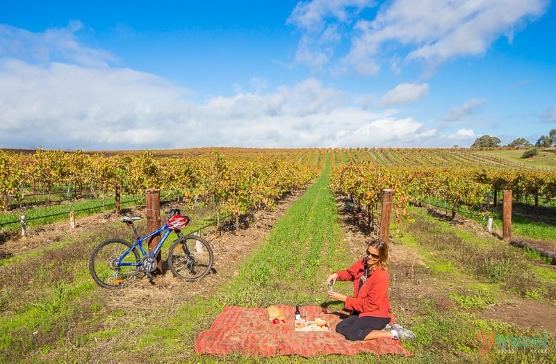 Bike and picnic in the Barossa Valley, South Australia