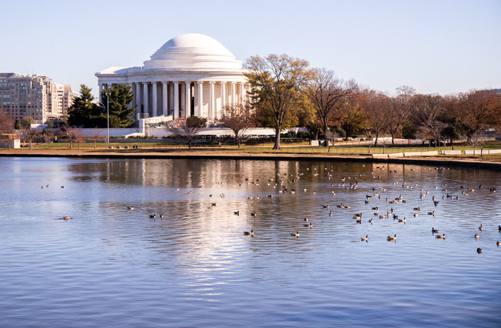 Thomas Jefferson Monument in DC with tidal basin and ducks swimming in the foreground