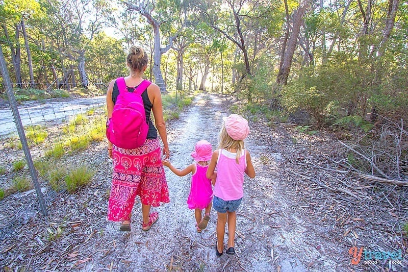 people walking on a path surrounded by trees