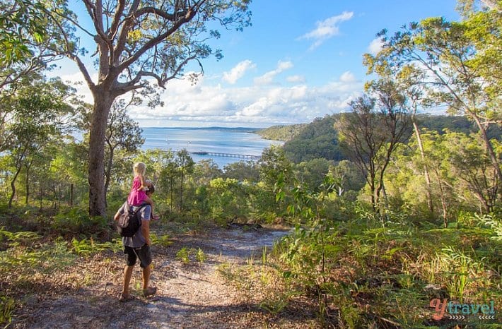 people walking on a trail surrounded by trees