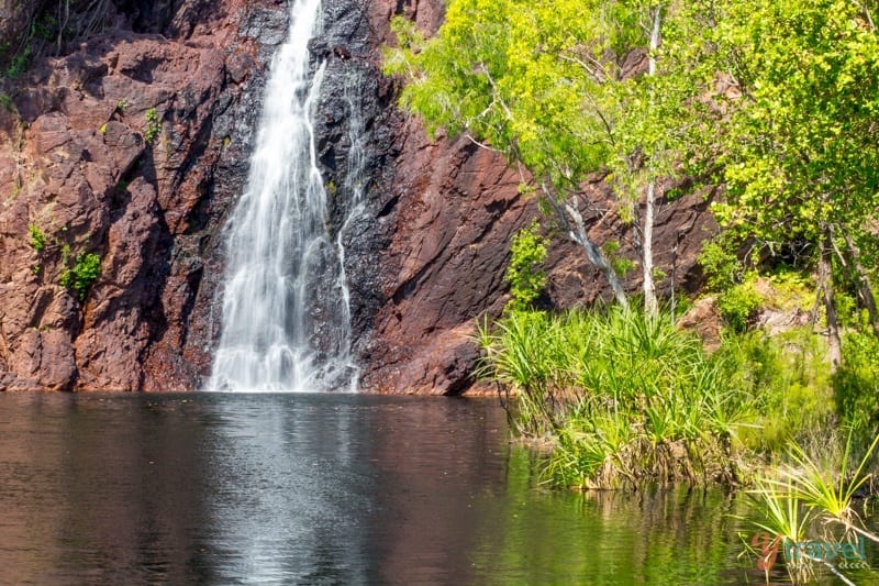 A waterfall surrounded by trees