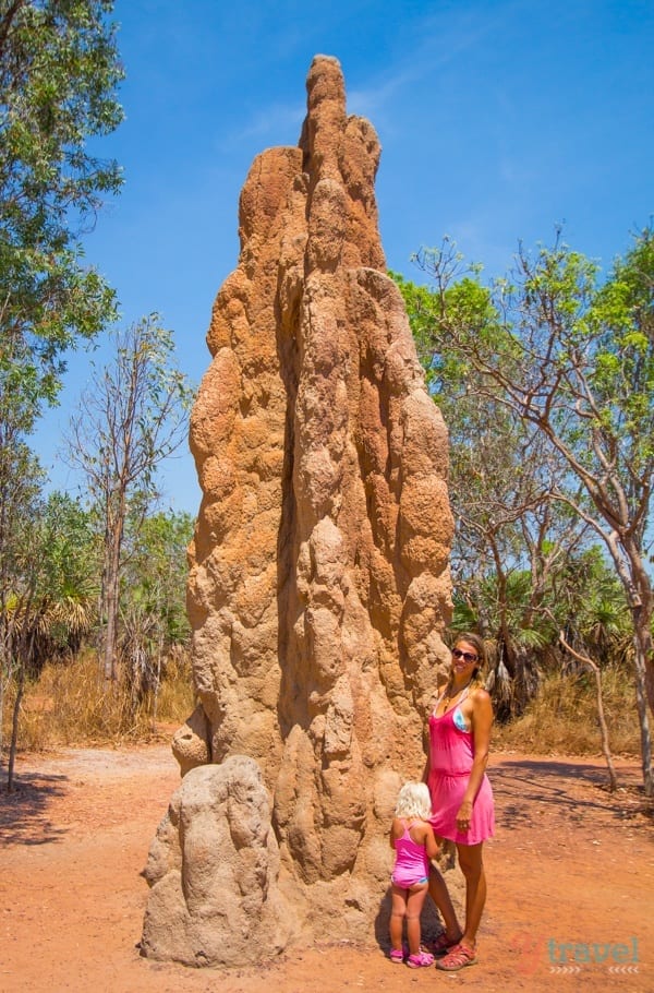 people standing next to a Giant Termite Mound