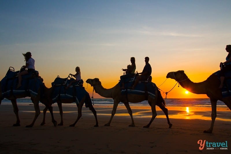 people riding camels at Sunset on Cable Beach