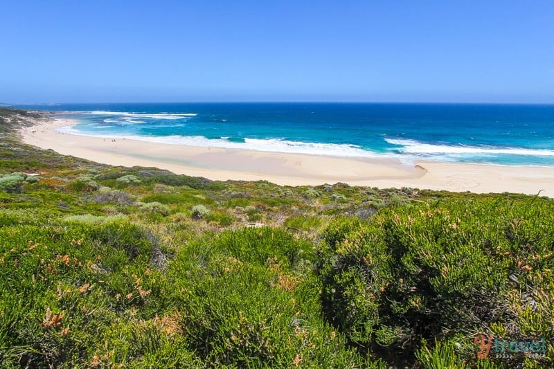 sweeping curve of Yallingup Beach with green headland