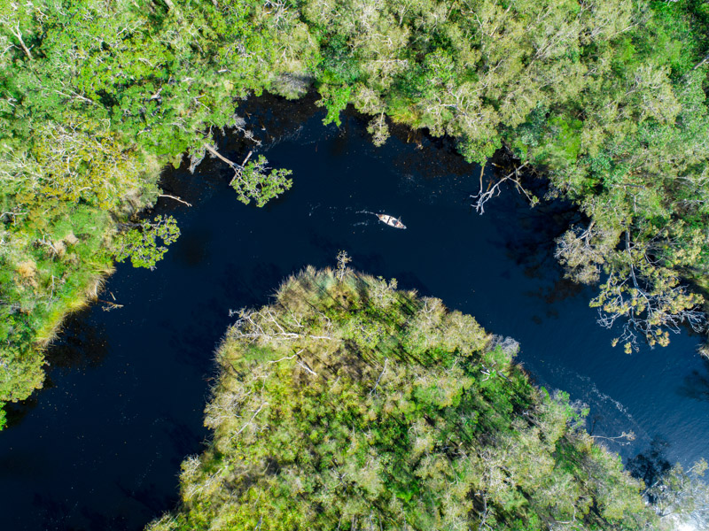 aerial view of river and everglades