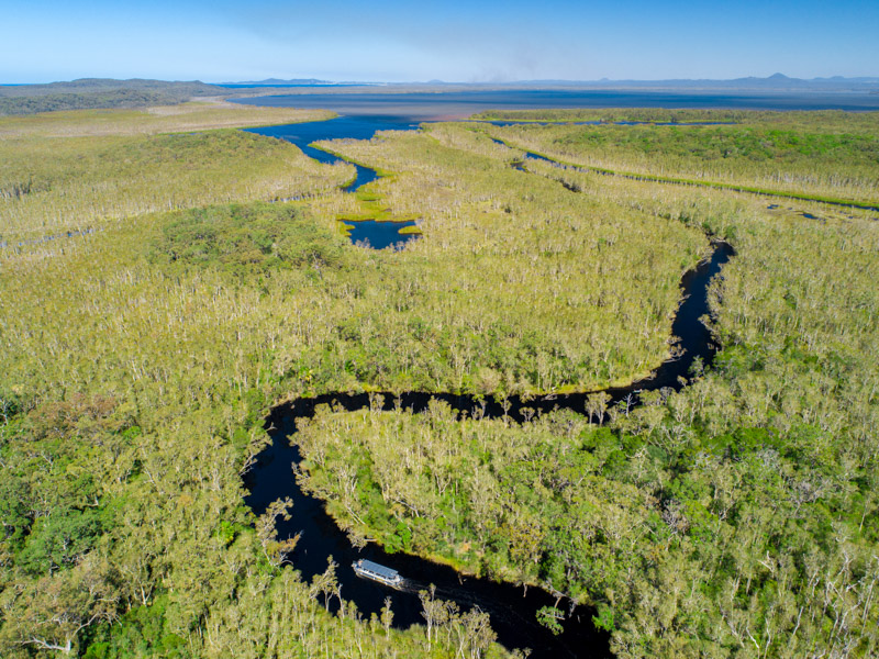 aerial view of the everglades