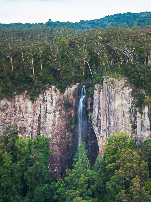 Aerial view of Purling Brook Falls