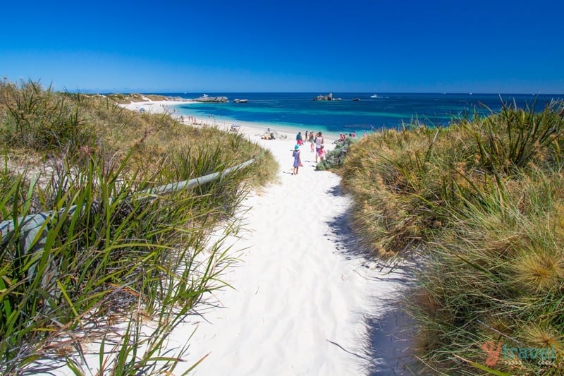 sandy trail leading onto the beach