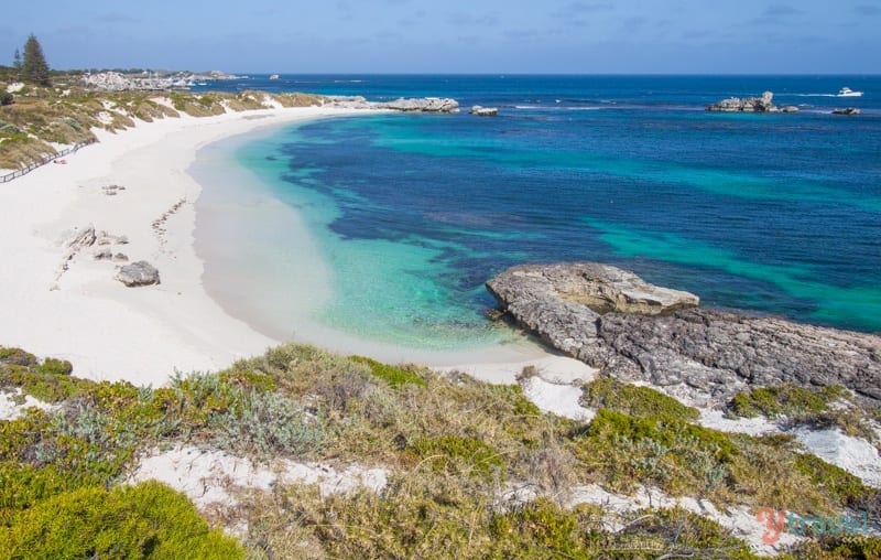 white sand beach next to the ocean