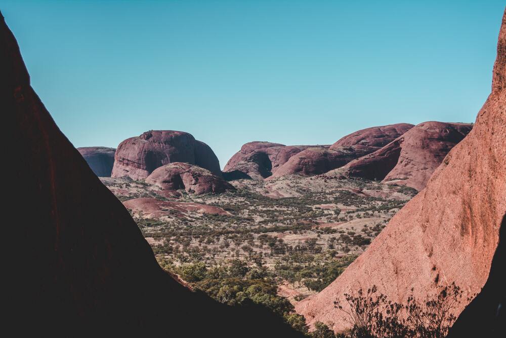 view of olgas