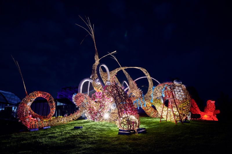 giant light display of a creature at rising melbourne