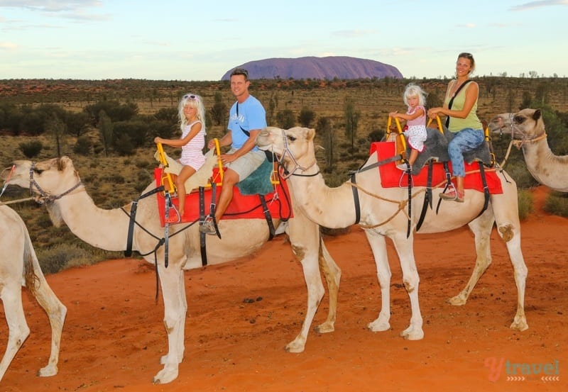 family engjoying an Uluru sunset camel ride - Northern Territory, Australia