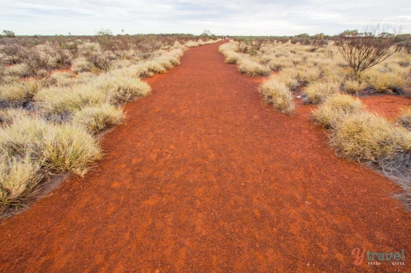 a dirt path in a desert