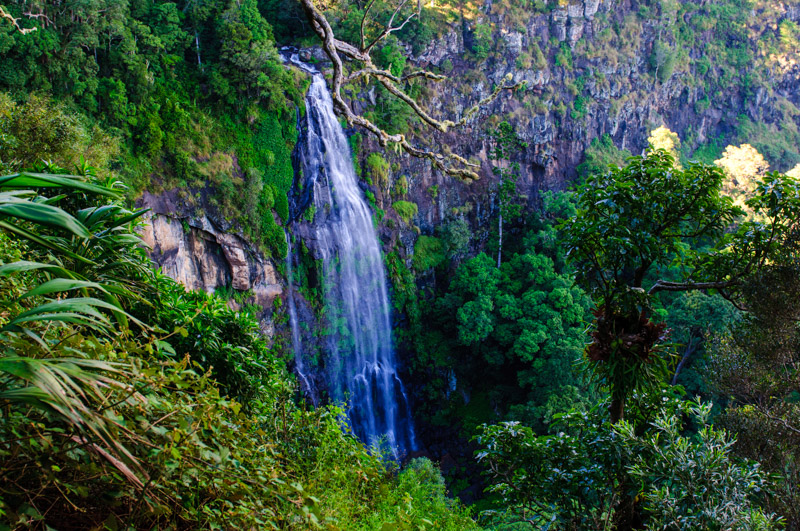 Waterfall at O'Reilly's Rainforest Retreat