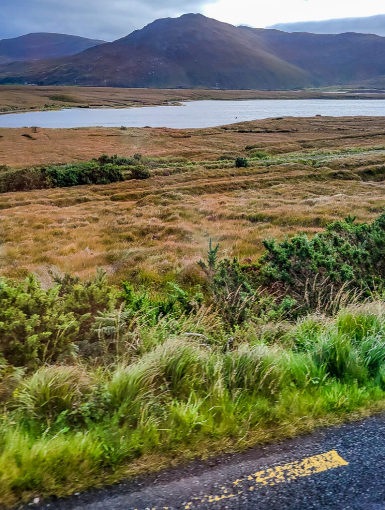 A landscape of green grass and a blue lake