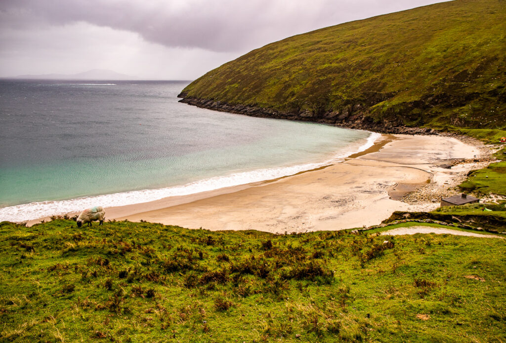 Overlooking a beach from a grassy clifftop